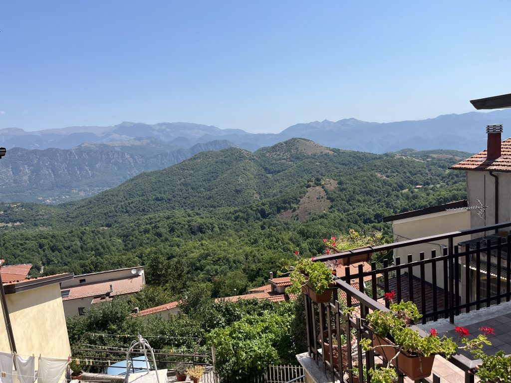vue imprenable sur des montagnes couvertes de forêts, observées depuis un balcon fleuri. Les toits en tuiles rouges des maisons traditionnelles contrastent avec l’immensité du paysage naturel.